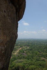 DSC01318a
